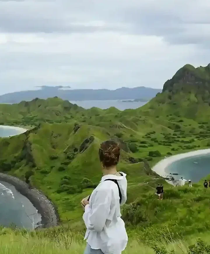 Padar Island covered in green after the rains, Komodo National Park