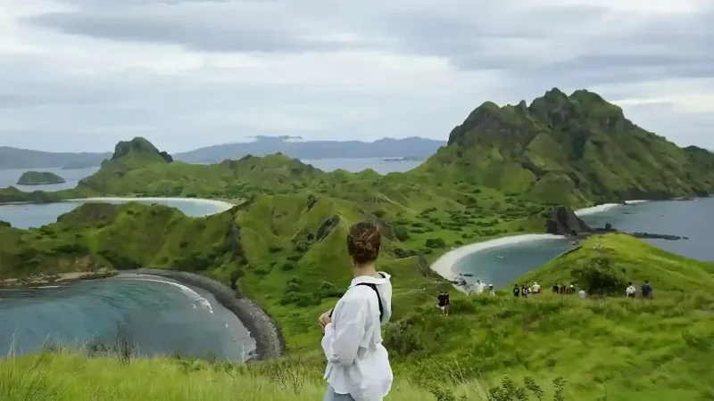 Padar Island covered in green after the rains, Komodo National Park