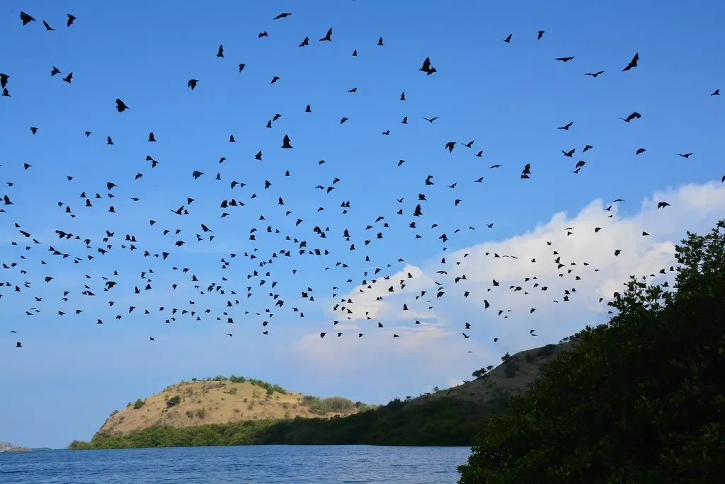 The 17 Islands marine park at Riung, northern Flores