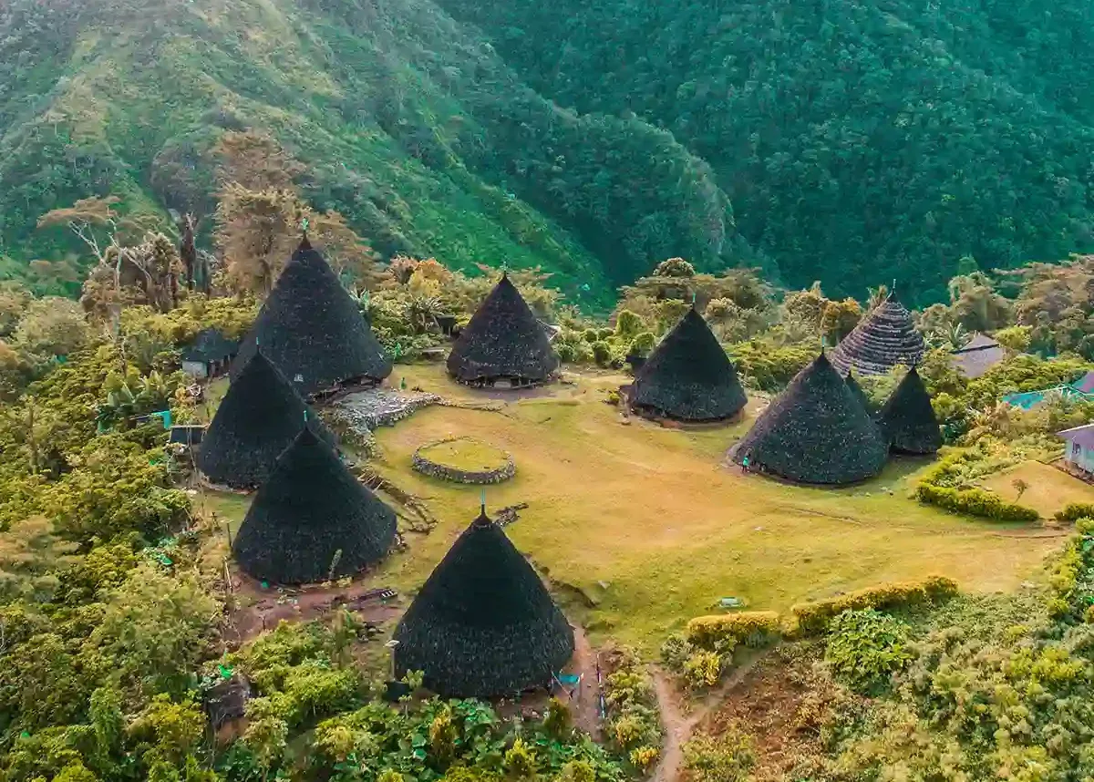 Wae Rebo village seen from the surrounding forest ridge, Flores