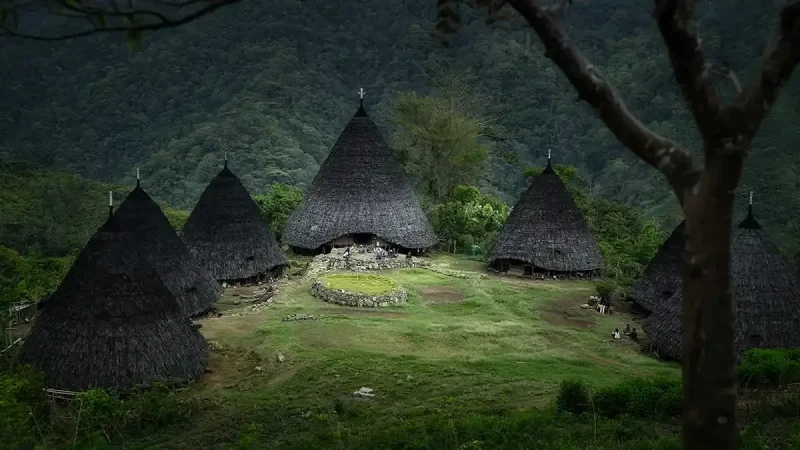 The cone houses of Wae Rebo village in the Flores highlands